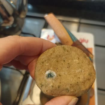 Yemeksepeti Market Küflü Ve Kötü Kokulu Ürün Teslimatıyla Sağlık Riski Yaşadım