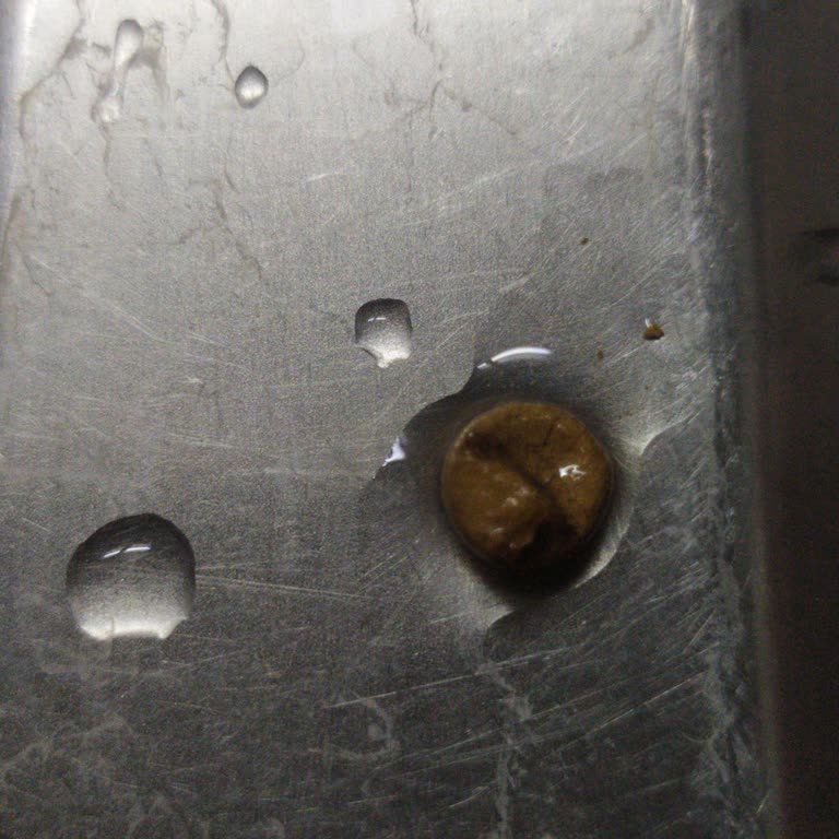 Dost Süt İçinde Yabancı Maddelerle Karşılaştım, Güvenim Sarsıldı