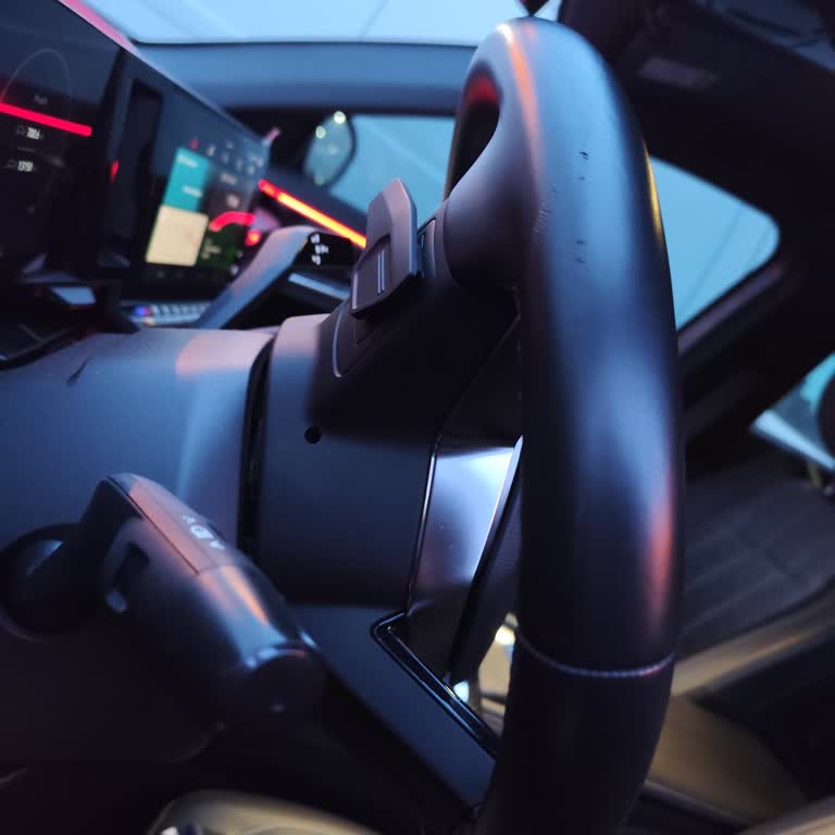 Renault Austral Direksiyon Derisi Kısa Sürede Yıprandı, Çözüm Sunulmadı