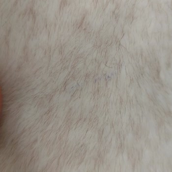 Kusurlu Ve Yanlış Ürün Gönderimi Sonrası İlgisiz Ve Saygısız Müşteri Hizmeti