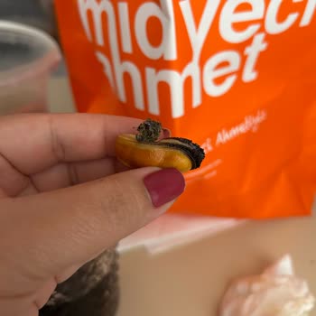 Midyeci Ahmet Hijyen Sorunu Ve İletişimsizlik: Çocuğumun Sağlığı Tehlikeye Girdi!