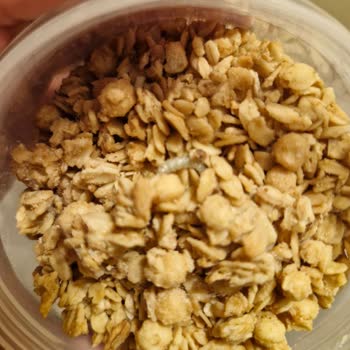 Kellogg's Granola Paketinde Son Kullanma Tarihi Geçmemiş Üründe Kurt/Larva Çıkması Ve İletişimsizlik