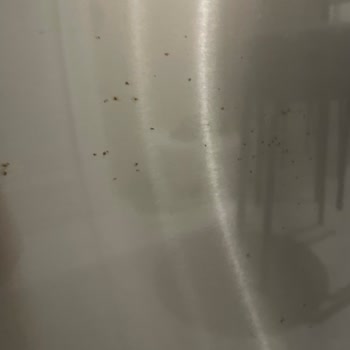 Siemens Buzdolabında Erken Paslanma Ve Yüksek Onarım Ücreti Mağduriyeti