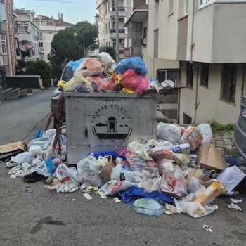 Küçükyalı’da Düzenli Çöp Toplanmaması Sağlığımızı Tehdit Ediyor