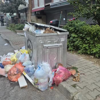 Küçükyalı’da Düzenli Çöp Toplanmaması Sağlığımızı Tehdit Ediyor