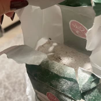 Satın Aldığım Unun İçinden Canlı Böcek Çıktı!