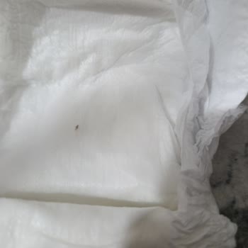 Bebek Bezinde Tanımsız Cisim Buldum, Sağlık Açısından Endişeliyim