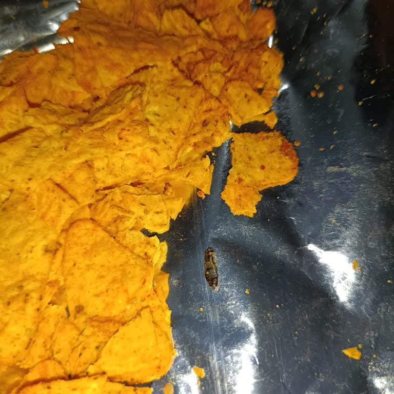 Aldığım Cips Paketinden Böcek Çıktı Hijyen Ve Sağlık Açısından Endişeliyim