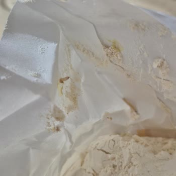 Aldığım Unun İçinden Solucan Çıktı, Ücret İadesi Ve Gıda Güvenliği Talebim Var