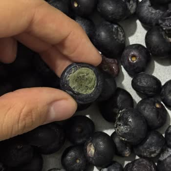 Migros’tan Gelen Bozuk Meyve Sebzeler Ve Umursamaz Müşteri Hizmeti