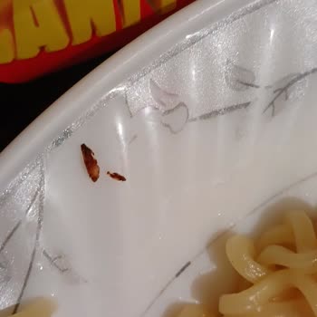 İndomie Noodle İçinden Böcek Çıkmasıyla Hayal Kırıklığı