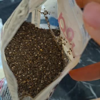Kapalı Chia Tohumu Paketinden Örümcek Ağı Çıkması