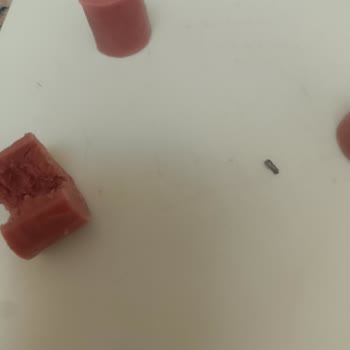 Aytaç Sosisin İçinden Demir Parçası Çıktı, Güvenim Sarsıldı