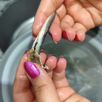 Temizlenmiş Diye Satılan Hamsiler Temizlenmemiş Çıktı, Hijyen Endişesi Yaşadım