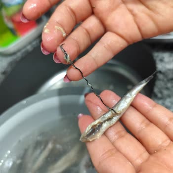 Temizlenmiş Diye Satılan Hamsiler Temizlenmemiş Çıktı, Hijyen Endişesi Yaşadım