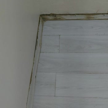 Konut Sigortası Hasarımda Rücu Bilgileri Nedeniyle Mağduriyet