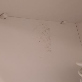 Peri Pak Temizlik Hizmetleri Hizmet Memnuniyetsizliği