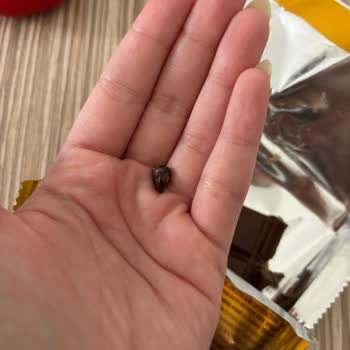 Çikolatanın İçinden Taş Çıkması Sonucu Sağlık Riski Ve Güven Kaybı