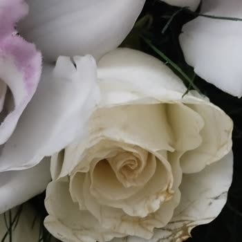 Sipariş Ettiğim Çiçek Kusurlu Ve Eksik Geldi, Çözüm Sunulmuyor