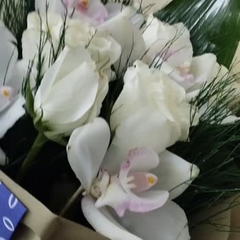 Sipariş Ettiğim Çiçek Kusurlu Ve Eksik Geldi, Çözüm Sunulmuyor