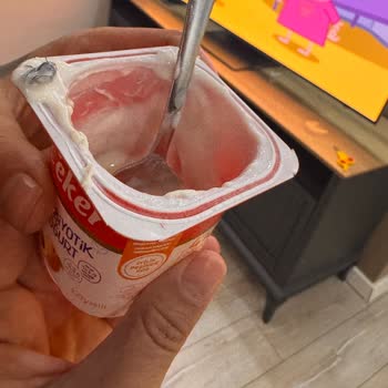 Aldığım Yoğurttan Çıkan Sinek Nedeniyle Bebeğimin Sağlığı Tehlikeye Girdi