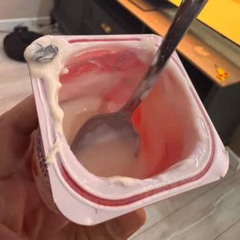 Aldığım Yoğurttan Çıkan Sinek Nedeniyle Bebeğimin Sağlığı Tehlikeye Girdi