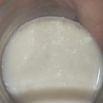 Tarihi Geçmemiş Sütün Bozuk Çıkması Sağlığımızı Tehlikeye Attı