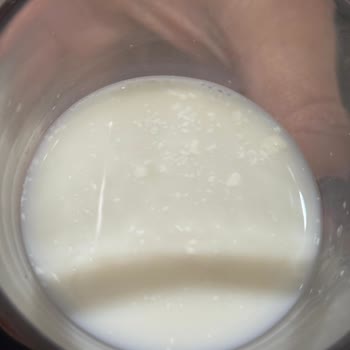 Tarihi Geçmemiş Sütün Bozuk Çıkması Sağlığımızı Tehlikeye Attı