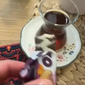 Ülker Piko Memnuniyetsizliğimi İfade Ediyorum!