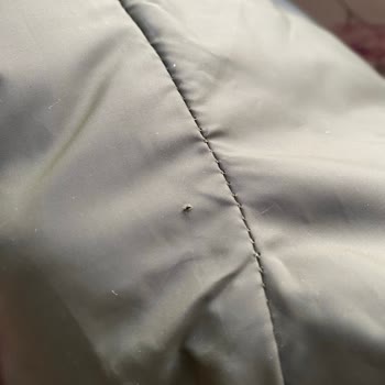 Sıfır Diye Aldığım Montun Defolu Çıkması Güvenimi Zedeledi