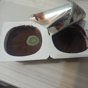 Son Kullanma Tarihi Geçmemiş Sütaş Tatlım Pudingde Küf Çıkması