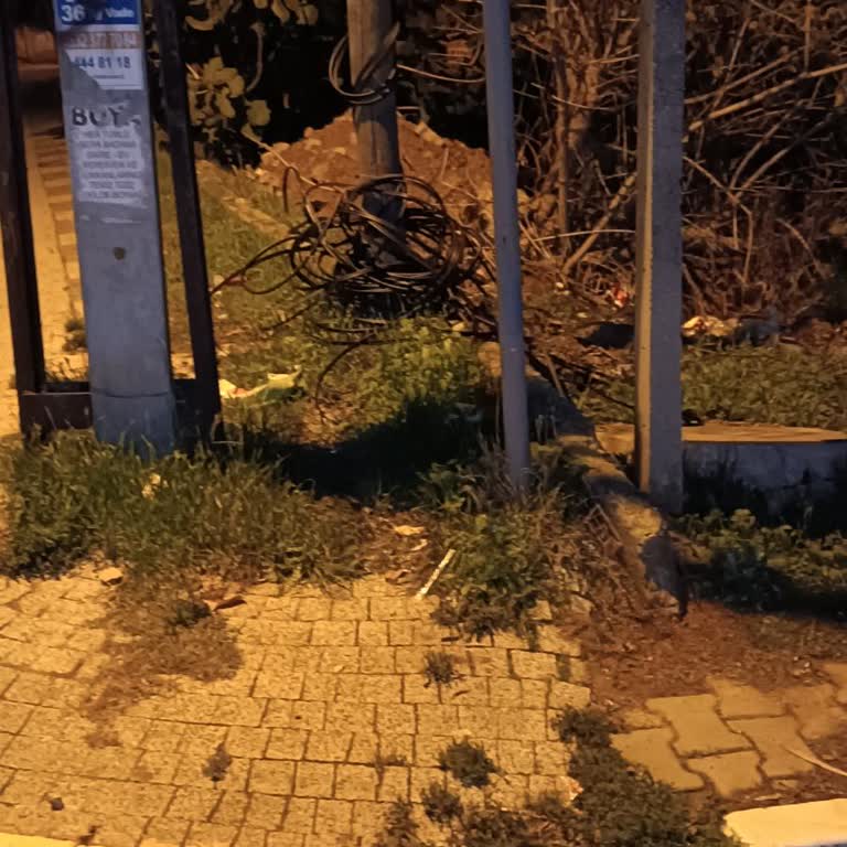 Kopan Kablo Yüzünden Haftalardır İnternetsiz Kaldık, Faturalar Devam Ediyor!