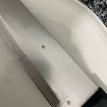 Vestel BM 4202 Bulaşık Makinesinde Kronik Paslanma Sorunu Ve Ürün Değişim Talebi