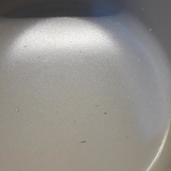 Kısa Sürede Deforme Olan Granit Tencere Takımı İçin Değişim Talebi