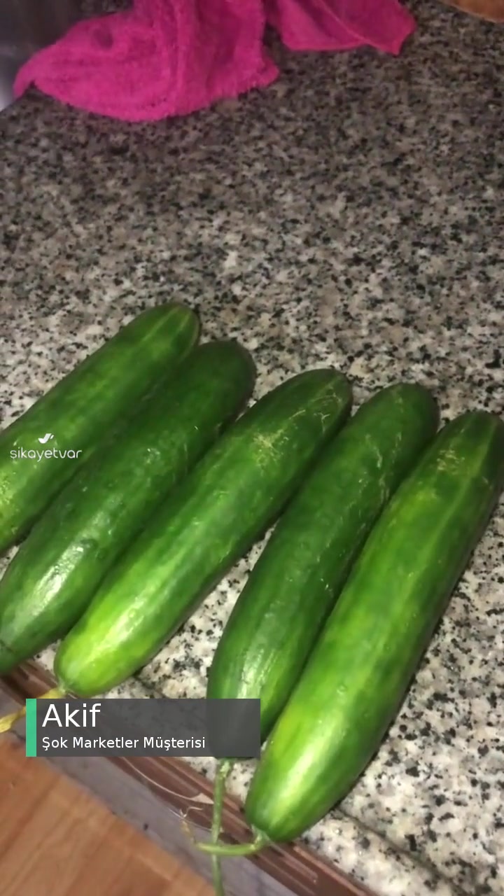 Şok Marketler Hayvanların Bile Yemediği Salatalıkların Bana Gönderilmiş Olması! videonun kapak resmi