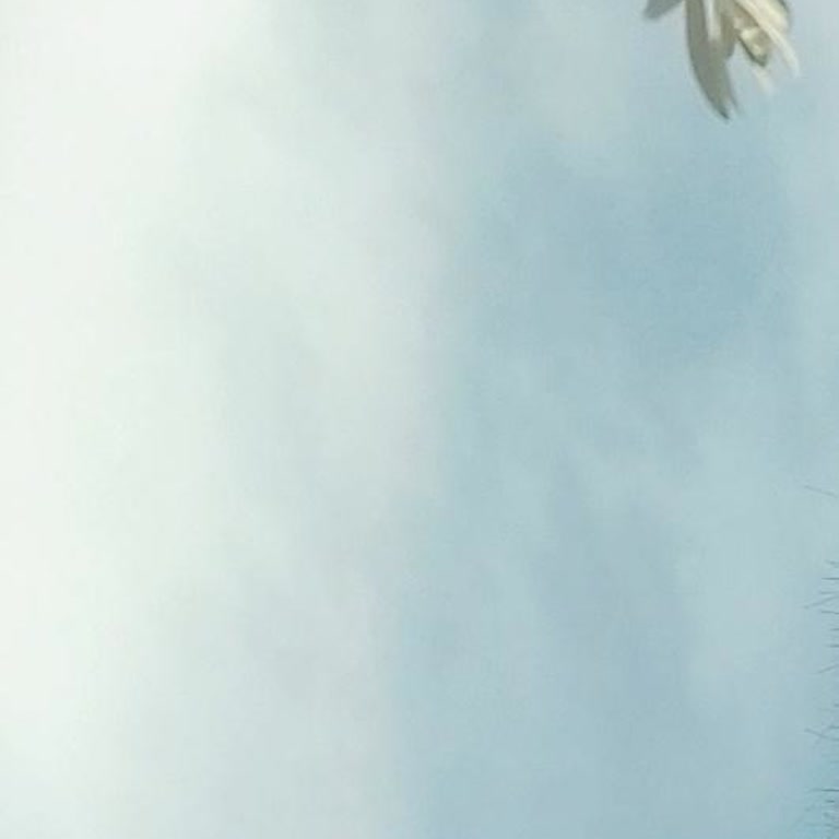 Reeder S23 Pro Max Kameraları Sürekli Sorunlu Ve Kalitesiz Çıktı!