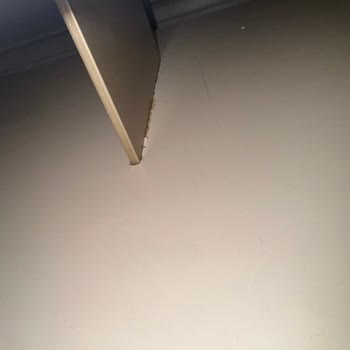 Teşhir Ürün Satışı Ve Zorlu İade Süreci: İnsa Home Çiğli Mağazası Deneyimi