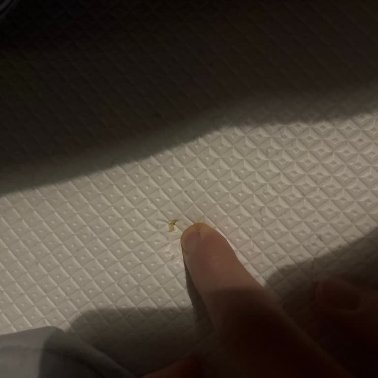 Yırtık Ve Kirli Oyun Matı Gönderildi, Satıcıdan Ve Trendyol'dan Yanıt Alınamıyor