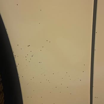 Titocar Lastik Parlatıcı Aracımda Sürekli Leke Bırakıyor Ve Çözüm Sunulmuyor