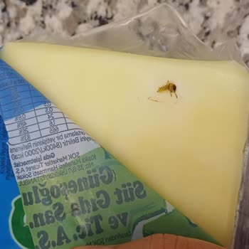 Kaşar Peynirinde Ambalajı Açınca Arı Çıkması Ve Hijyen Endişesi