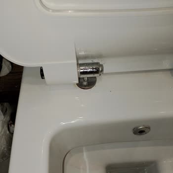 Seramiksan Luna Klozet Kapağı Menteşe Sorunu Sonucu Kırıldı