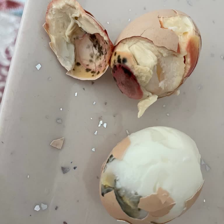 Hakmar’dan Aldığım Yumurtada Küf Ve Çürüklük Sorunu Yaşadım