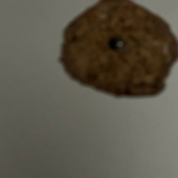 Olcay Nakliyat İle Taşınmada Eşyalarım Zarar Gördü, Çözüm Sunulmadı