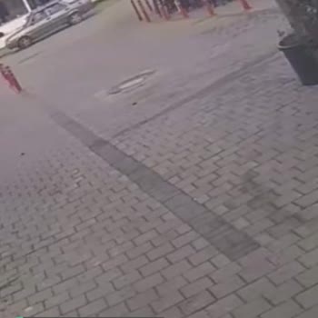 Bodrum Belediyesi Caddeye 2 Adet Kasis İsteği