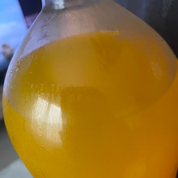 Açılmamış Fanta Şişesinde Yabancı Madde Ve Güvenlik Endişesi