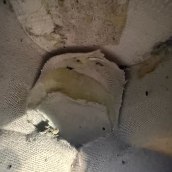 Garanti Kapsamındaki Ayakkabılarda Hızlı Deformasyon Ve İade Talebim Reddedildi