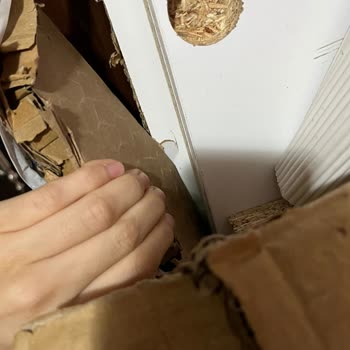 Kargo Teslimatında Büyük Hata: Siparişim Yanlış Adrese Gönderildi Ve Hasarlı Teslim Edildi