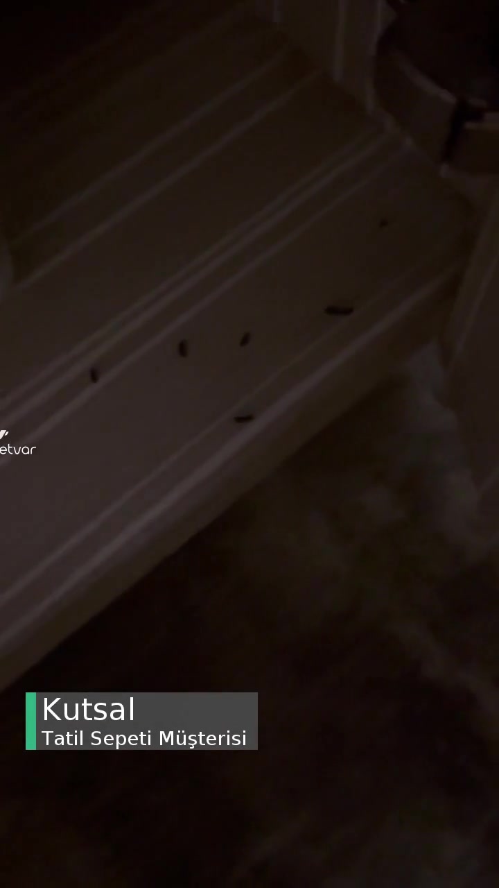 Tatil Sepeti Felaketi Fareli Oteller videonun kapak resmi