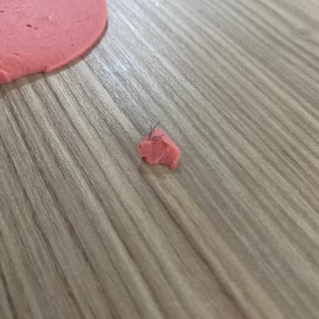 Aldığım Salamın İçinden Tüy Çıktı Hijyen Endişesi Yaşıyorum