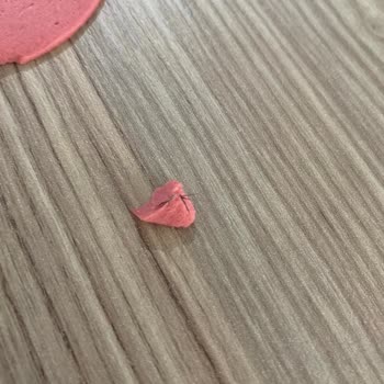 Aldığım Salamın İçinden Tüy Çıktı Hijyen Endişesi Yaşıyorum